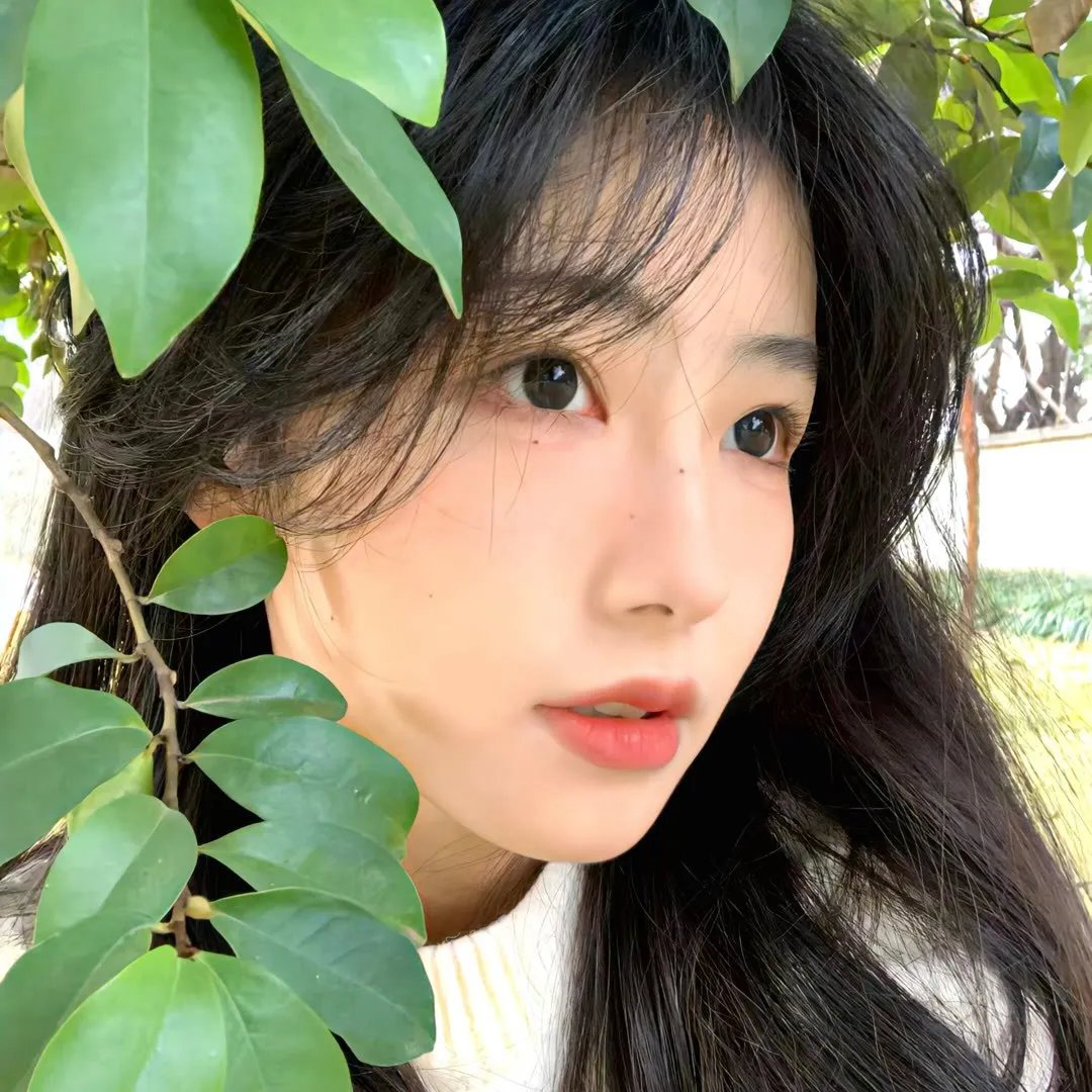 醉木人